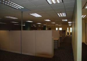 cubicles.jpg